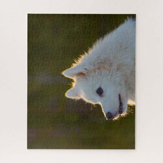 Puzzle Chien Spitz Japonais. (Vertical)