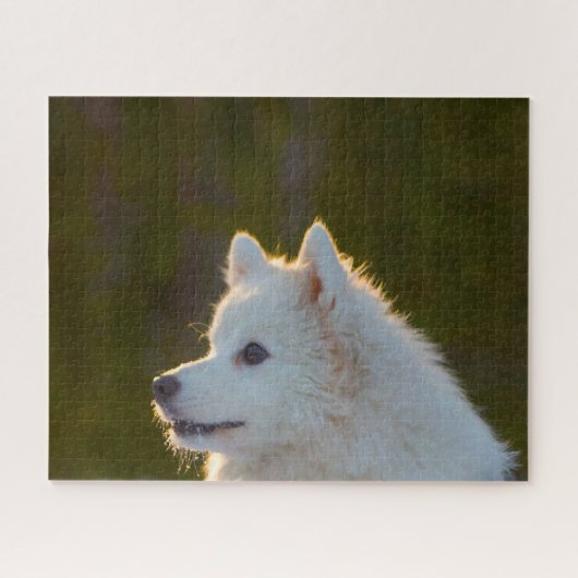 Puzzle Chien Spitz Japonais. (Horizontal)