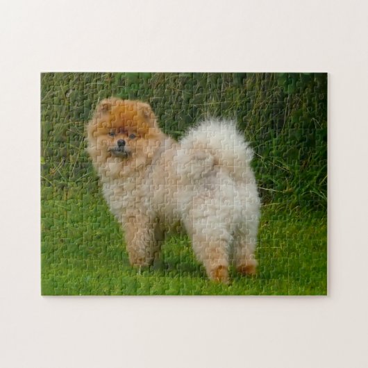 Puzzle Chien Spitz Nain Poméranien. (Horizontal)