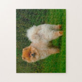 Puzzle Chien Spitz Nain Poméranien. (Vertical)