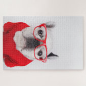 Puzzle Chien-taureau français avec lunettes et chemise (Horizontal)