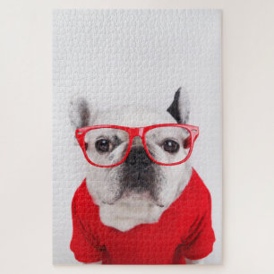 Puzzle Chien-taureau français avec lunettes et chemise