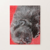 Puzzle Chien Tibétain Mastiff Jigsaws. (Vertical)