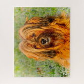 Puzzle Chien Tibétain Terrier Jigsaws. (Vertical)