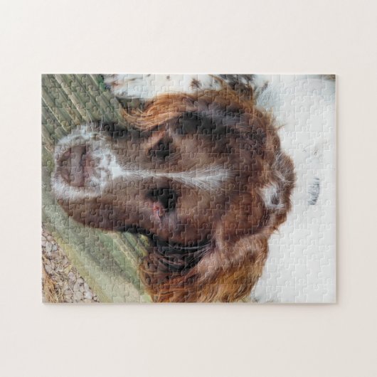 PUZZLE CHIENS (Horizontal)