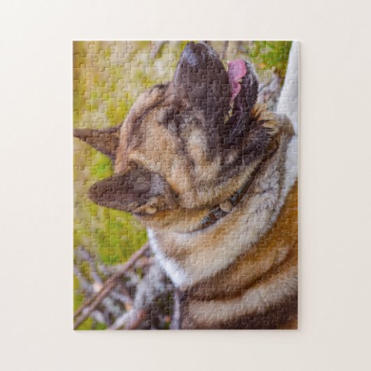 Puzzle Chiens Akita. (Vertical)