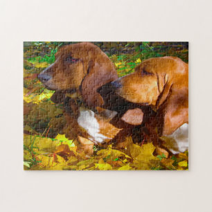 Puzzle Chiens Basset Hound.