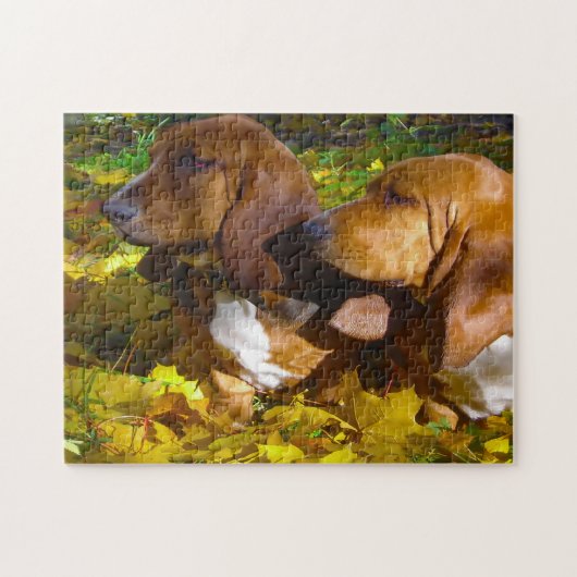 Puzzle Chiens Basset Hound. (Horizontal)