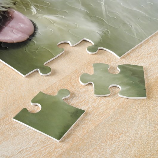 Puzzle Chiens Bichon Frise. (Côté)