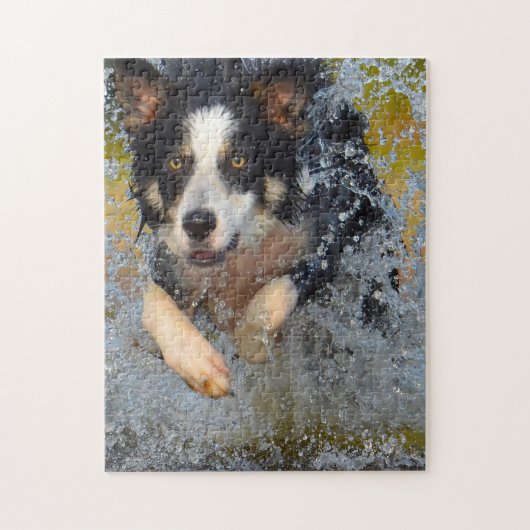 Puzzle Chiens Border Collie. (Vertical)
