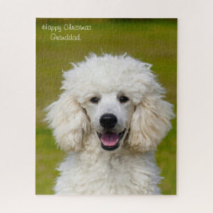 Puzzle Chiens Caniches.