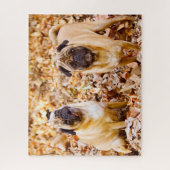 Puzzle Chiens Carlin. (Vertical)