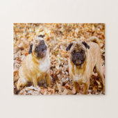 Puzzle Chiens carlins. (Horizontal)