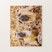 Puzzle Chiens carlins. (Vertical)