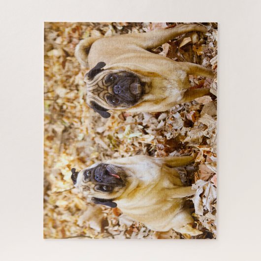 Puzzle Chiens carlins. (Vertical)