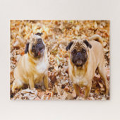 Puzzle Chiens carlins. (Horizontal)
