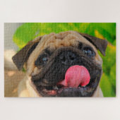 Puzzle Chiens carlins. (Horizontal)