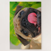 Puzzle Chiens carlins. (Vertical)