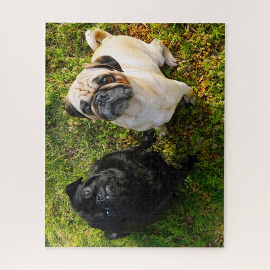Puzzle Chiens carlins. (Vertical)