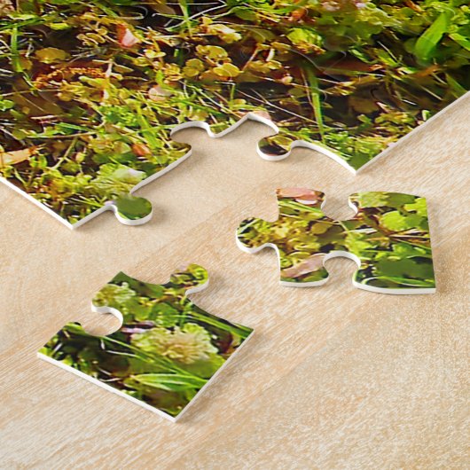 Puzzle Chiens carlins. (Côté)