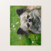 Puzzle Chiens Chihuahua. (Vertical)