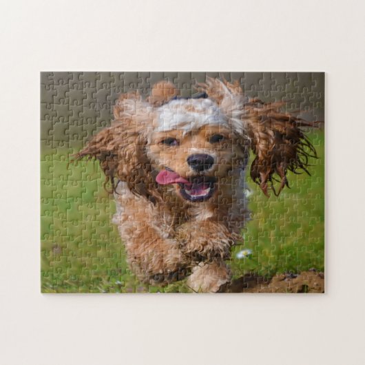 Puzzle Chiens Cocker de race pure. (Horizontal)