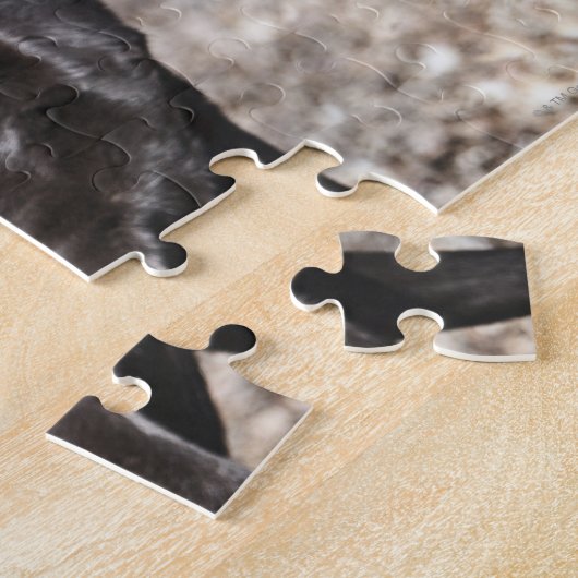 Puzzle Chiens d'arrêt de Labrador noirs (Côté)