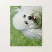 Puzzle Chiens De Bichon Frise. (Vertical)