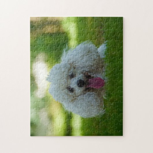 Puzzle Chiens de caniche. (Vertical)
