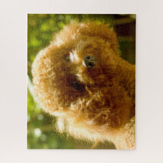 Puzzle Chiens de caniche. (Vertical)