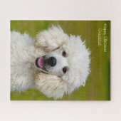 Puzzle Chiens de caniche. (Horizontal)