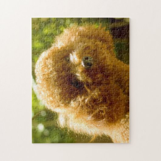 Puzzle Chiens de caniche. (Vertical)