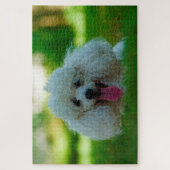 Puzzle Chiens de caniche. (Vertical)