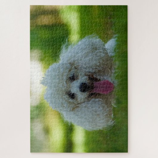 Puzzle Chiens de caniche. (Vertical)