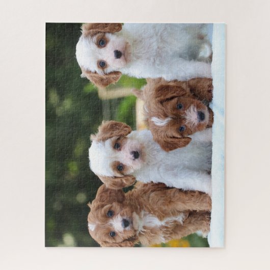 Puzzle Chiens de chiot de Cavapo mignons (Vertical)