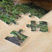 Puzzle Chiens de Guinée (Côté)