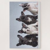 Puzzle Chiens de taureau français mignons (Vertical)