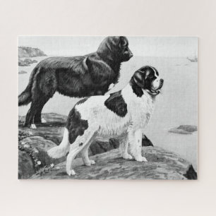 Puzzle Chiens de Terre-Neuve - illustration vintage jigsa