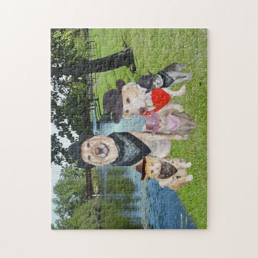 Puzzle Chiens et chats dans des casquettes de cowboy (Vertical)