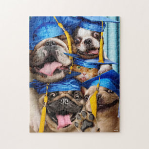 Puzzle Chiens et chats diplômés en photomaton