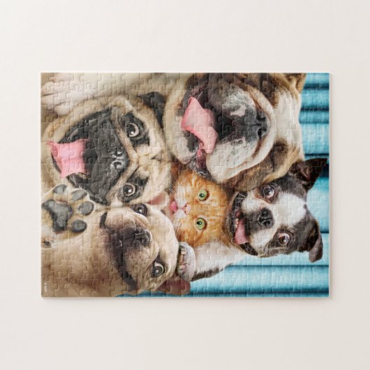 Puzzle Chiens et photo d'un groupe de chats (Horizontal)