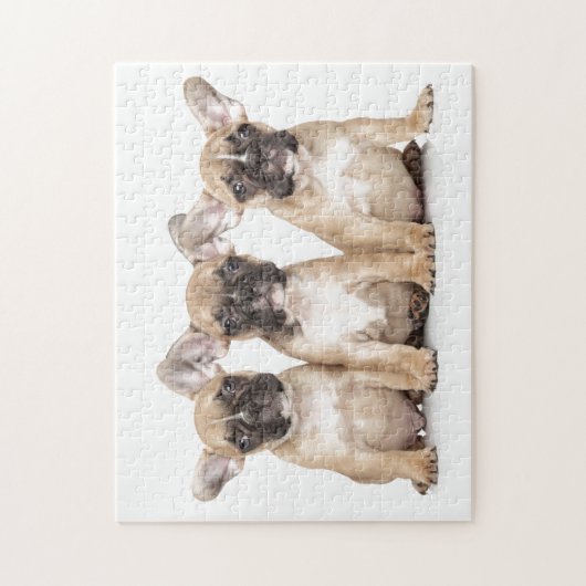 Puzzle Chiens français mignons (Vertical)