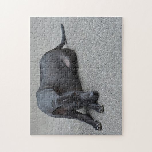 Puzzle Chiens Ridgeback Thaïlandais Jigsaws. (Vertical)