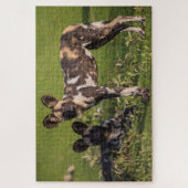 Puzzle Chiens sauvages africains en Tanzanie (Vertical)