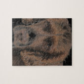 Puzzle Chiens Springer anglais (Horizontal)