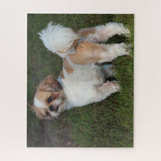 Puzzle Chih Tzu (Vertical)