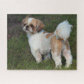 Puzzle Chih Tzu (Horizontal)