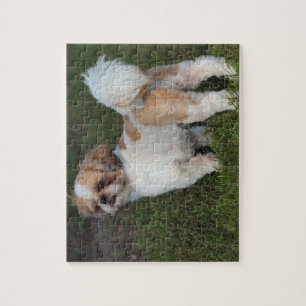 Puzzle Chih Tzu