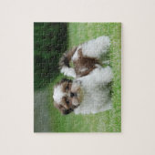 Puzzle Chih tzu chiot (Vertical)