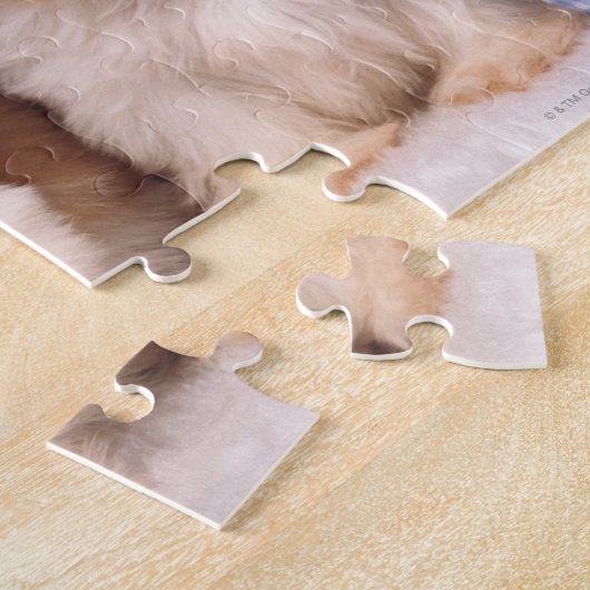 Puzzle Chih Tzu chippies sous une couverture contrôlée (Côté)